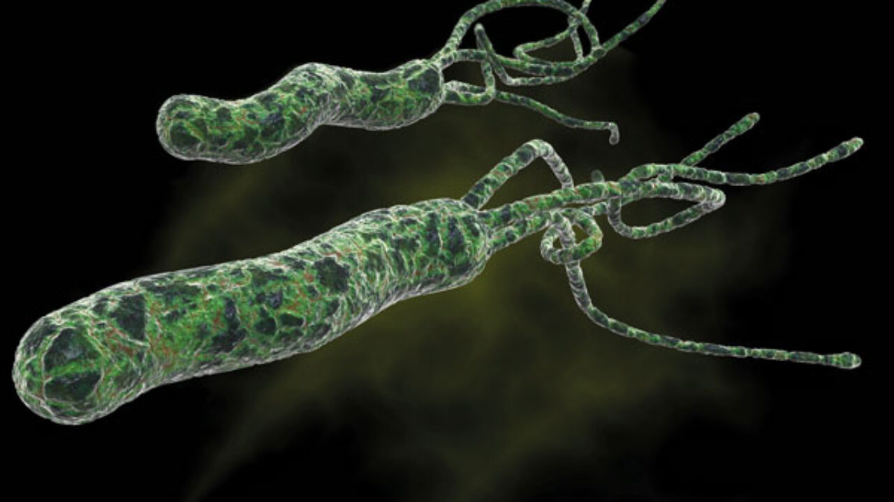 L Irriducibile Complessita Dell Essere Il Gazzettino Locale